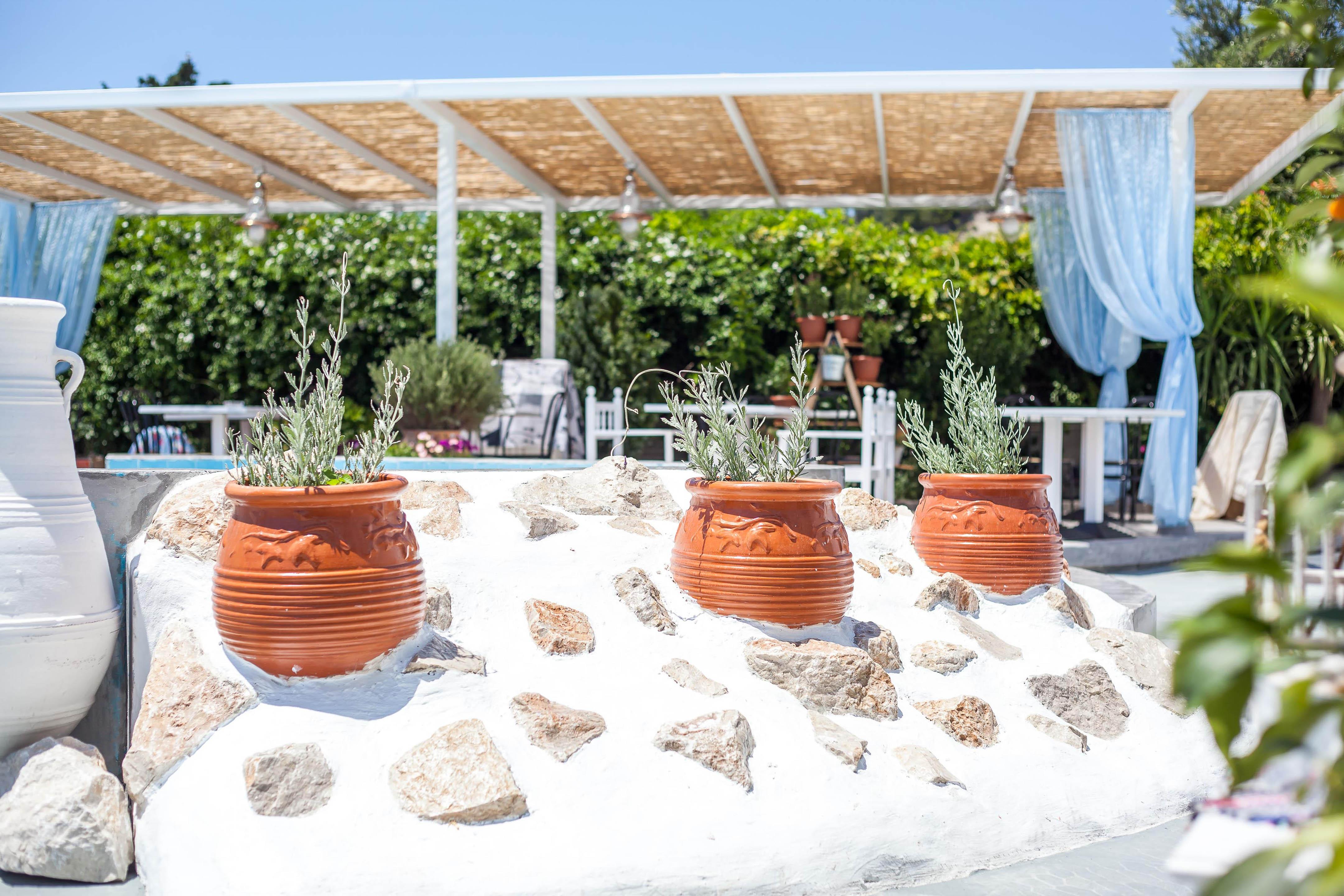 Tinas Plus Hotel Faliraki Zewnętrze zdjęcie
